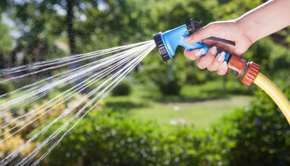Woman's hand with hose pipe watering plants - 64804339