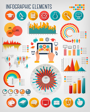 Education infographics. Vector.