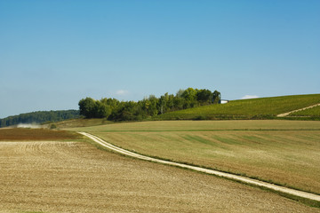 Fototapeta na wymiar wiejski pejzaż z drogą, polami uprawnymi oraz lasem pośrodku