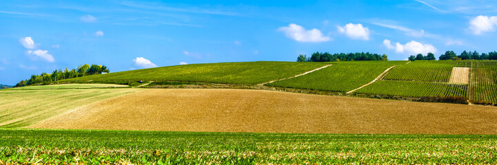 Obrazy na Plexi  piękny widok na pola uprawne, łąki i krzewy z błękitnym niebem