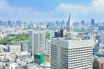 Fototapeta premium 都庁からの眺め