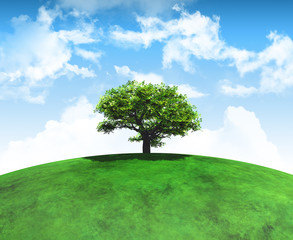 Fototapeta na wymiar 3D render of a tree on a curved grassy landscape