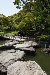 Fototapeta premium 清澄庭園磯渡り