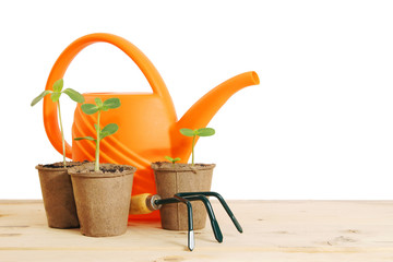 Pots with seedlings and watering can isolated over white backgro