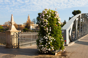 Obraz premium Puente Nuevo over Segura with Cathedral in background. Murcia