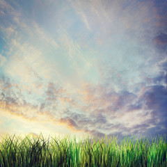Fototapeta na wymiar Dramatic summer landscape with sunset cloudy sky and grass