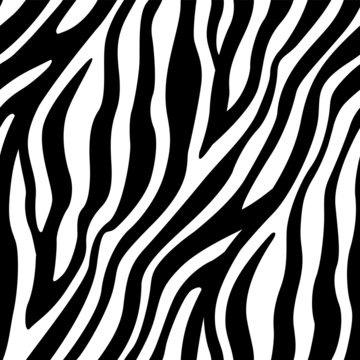 Zebra Stripes Seamless Pattern