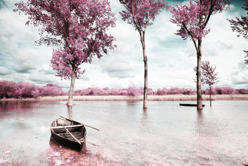 Park of Pateira de Fermentelos