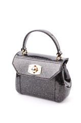 Handbag isolated white background