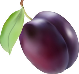 Plum