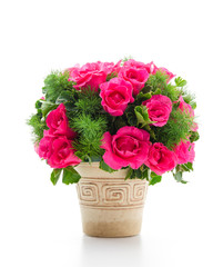 Rose bouquet