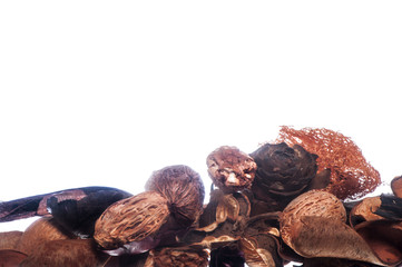 a colored potpourri on a white background