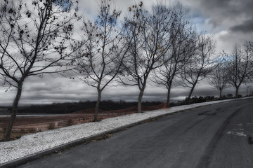 Park of Pateira de Fermentelos