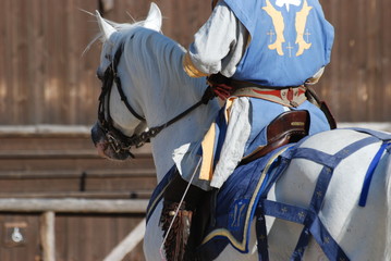 chevalerie