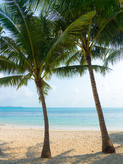 Untouched tropical beach