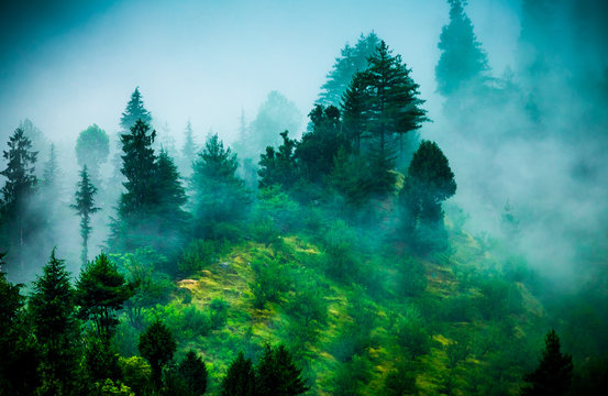 Fototapeta fog