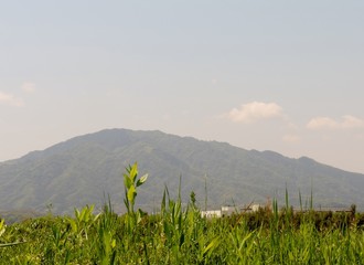 霊山遠景