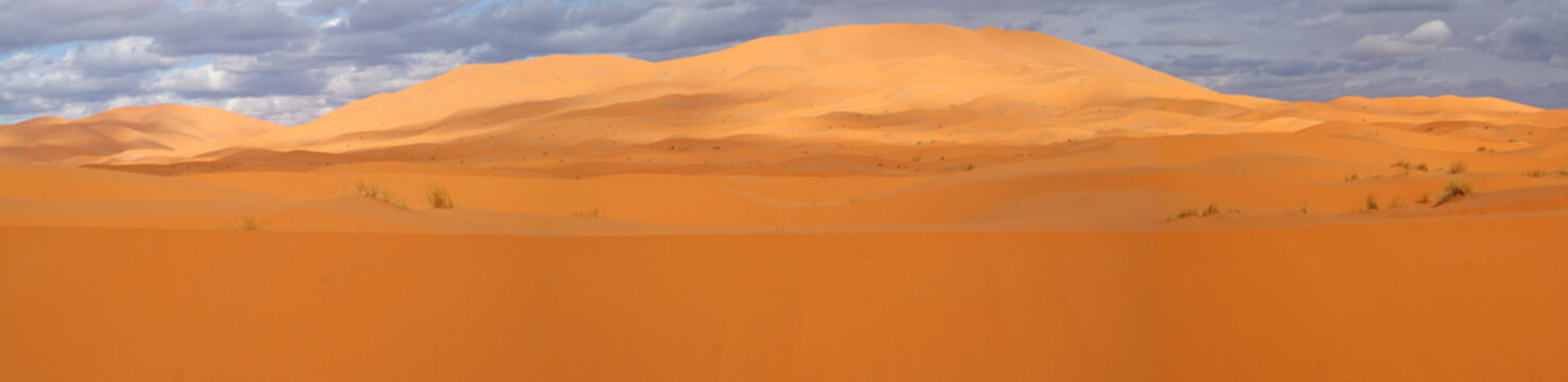 Sand dunes in panoramic overview