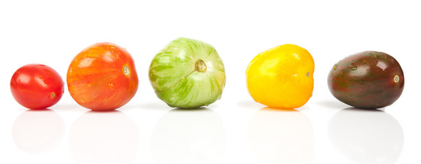 different tomatoes shapes and colors