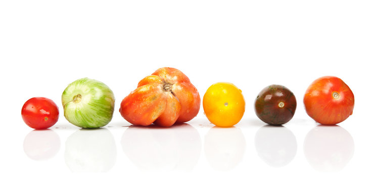 different tomatoes shapes and colors