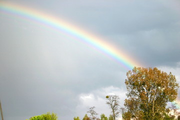 Tęcza © profit111