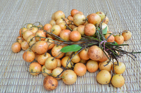 Mafai or Baccaurea ramiflora