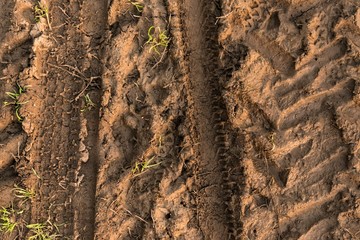 Closeup photo of some mud outdoors