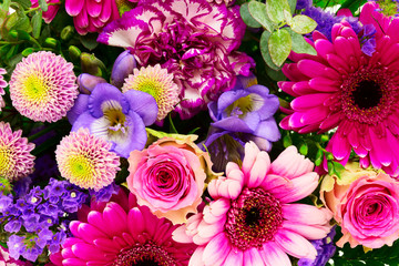 Blumen im Fr&uuml;hling