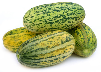 Fresh Mushkmelon