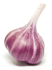 Knoblauch