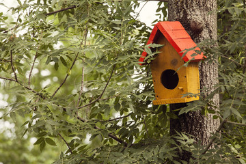 Yellow bird house on tree