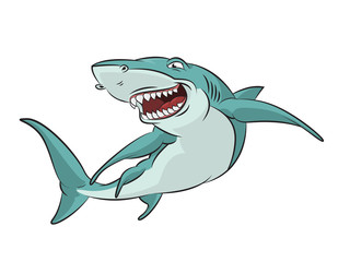 Cartoon Shark