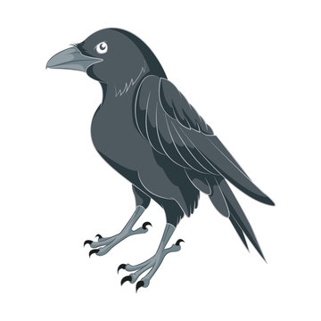 Cartoon Raven