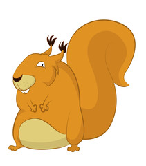 Squirrel