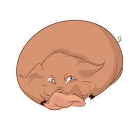 Pig