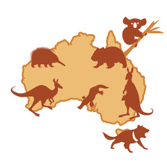 Fototapeta premium Australis with animals