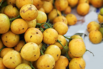 Marian plum fruit - asia fruit
