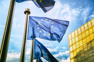 Fotobehang Brussel EU flags in front of European Commission in Brussels