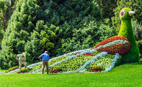 Vogel aus vielen Blumen auf  Blumeninsel Mainau