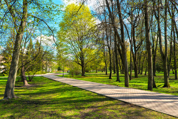 city ​​park in spring sunny day