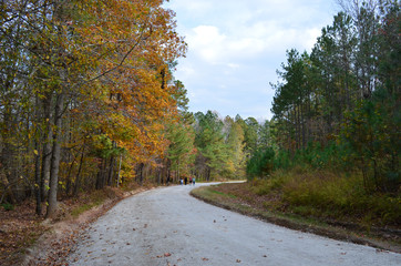Fototapeta premium Trail