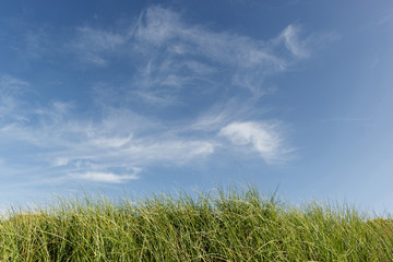 blue sky, clouds and green grass