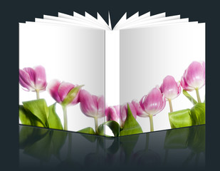  pink tulip book