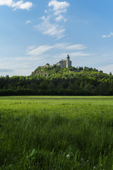 Fototapeta na wymiar Kuneticka Castle Mountain as seen from the Elbe