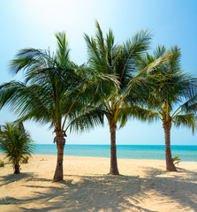 Fototapeta premium Untouched tropical beach