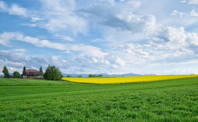 Agriculture landscape white clouds on sky.