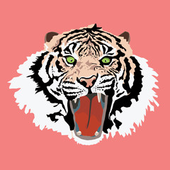Tiger head vector