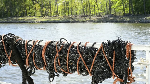 Bootsfahrt auf dem Kaiserkanal von Swinem&uuml;nde zum Stettiner Haff
