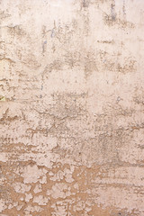 Fototapeta premium Wood damaged and peeling