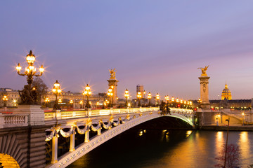 Fototapeta na wymiar Pont Alexandre III Bridge